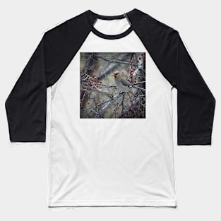 Waxwing feeding. Baseball T-Shirt